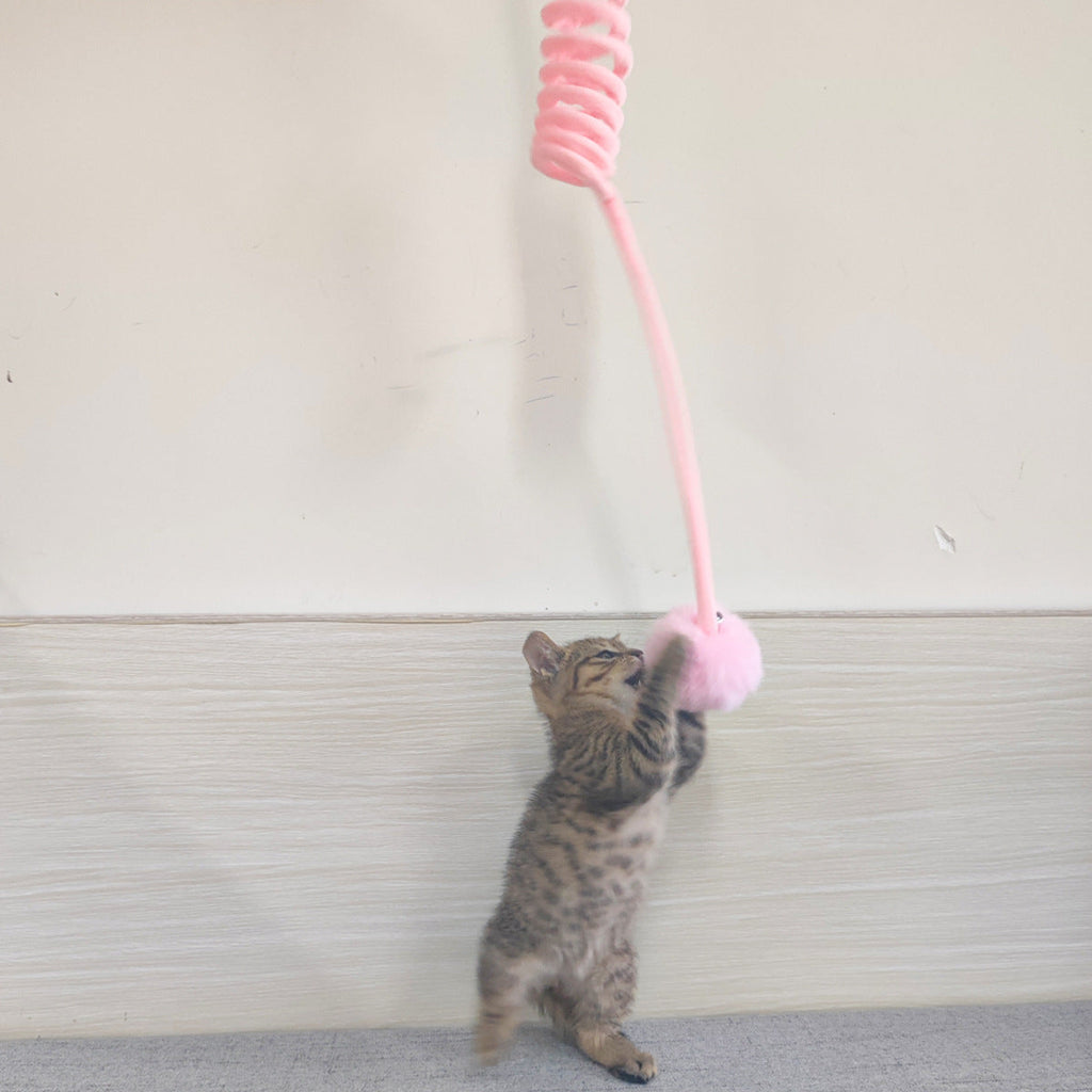 Speelbal met Veer voor Katten