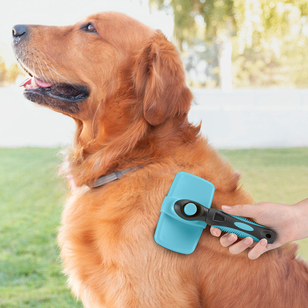 Groombot Huisdierborstel met Intrekbare Haren