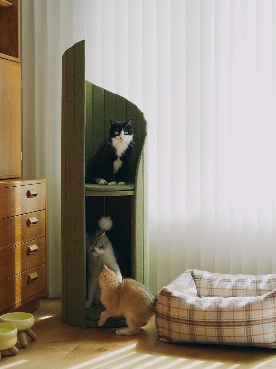 Time Tower — Moderne Kattentoren met Krabpaal